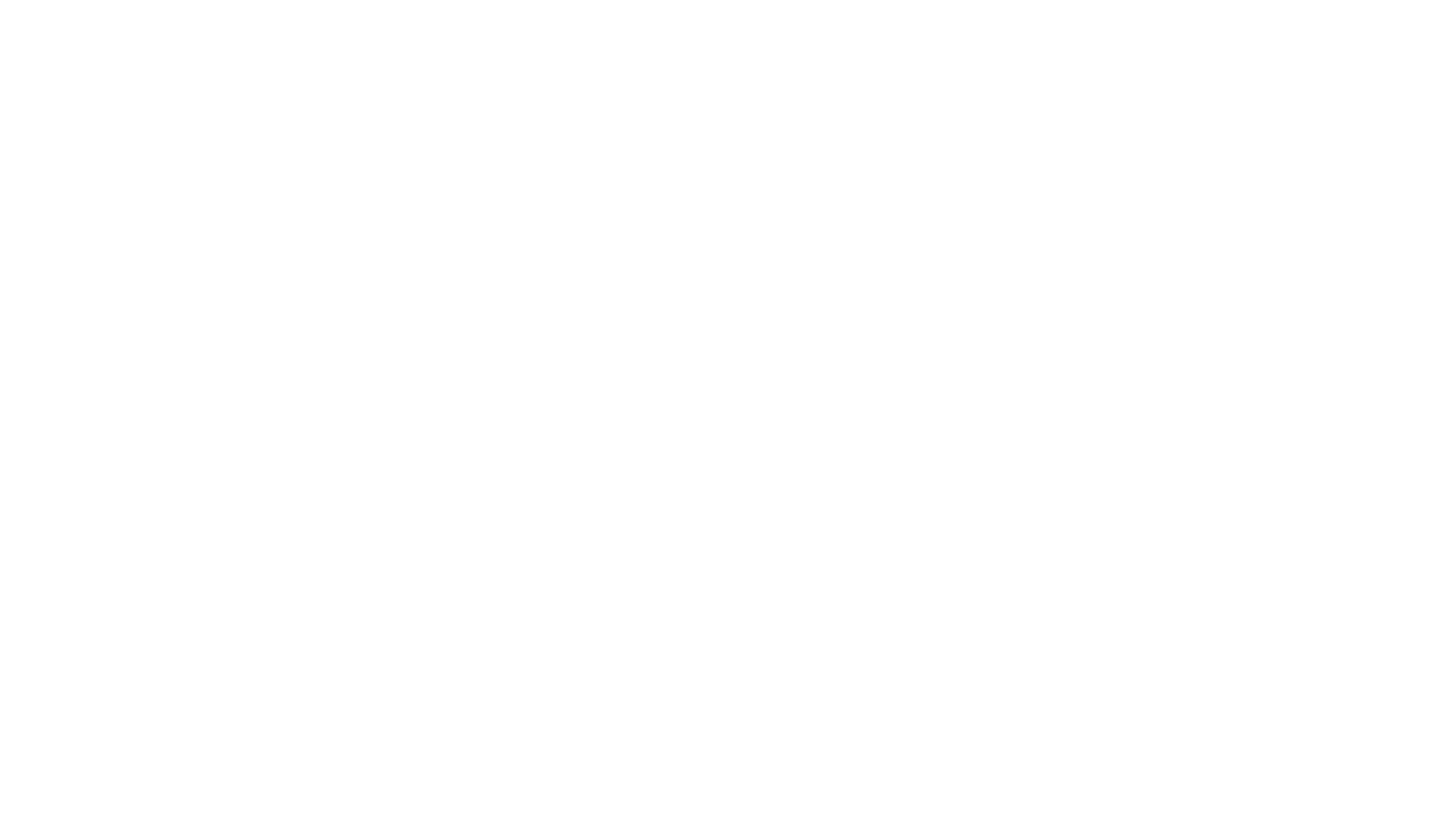 Viva La Bachata logo